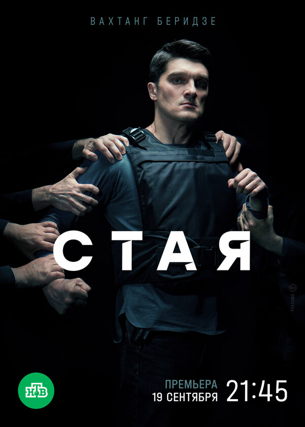 Стая постер